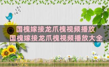 国槐嫁接龙爪槐视频播放 国槐嫁接龙爪槐视频播放大全